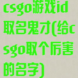 csgo游戏id取名鬼才(给csgo取个厉害的名字)