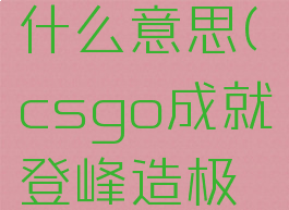 csgo成就登峰造极什么意思(csgo成就登峰造极什么意思呀)