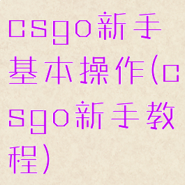 csgo新手基本操作(csgo新手教程)