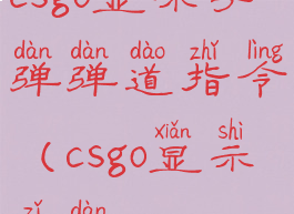 csgo显示子弹弹道指令(csgo显示子弹)
