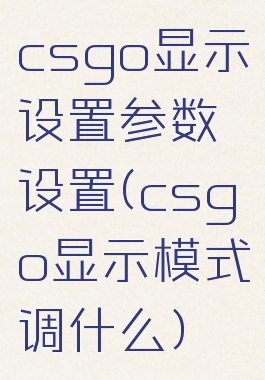 csgo显示设置参数设置(csgo显示模式调什么)