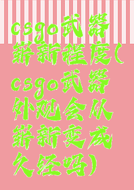 csgo武器崭新程度(csgo武器外观会从崭新变成久经吗)