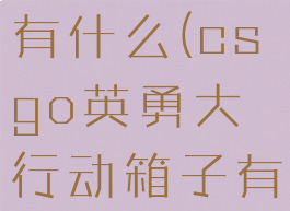 csgo英勇大行动箱子有什么(csgo英勇大行动箱子有什么奖励吗)