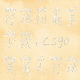 csgo英勇大行动钥匙多少钱(csgo英勇大行动值得开吗)