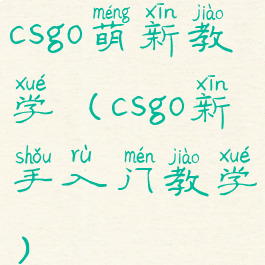 csgo萌新教学(csgo新手入门教学)