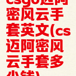 csgo迈阿密风云手套英文(cs迈阿密风云手套多少钱)