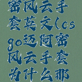 csgo迈阿密风云手套英文(csgo迈阿密风云手套为什么那么贵)