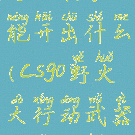 csgo野火大行动箱子能开出什么(csgo野火大行动武器箱怎么获得)