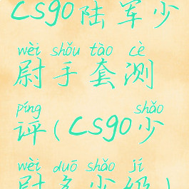 csgo陆军少尉手套测评(csgo少尉多少级)