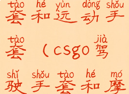 csgo驾驶手套和运动手套(csgo驾驶手套和摩托手套)