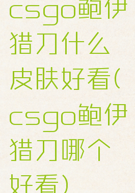 csgo鲍伊猎刀什么皮肤好看(csgo鲍伊猎刀哪个好看)