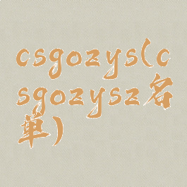 csgozys(csgozysz名单)