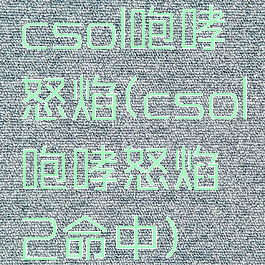 csol咆哮怒焰(csol咆哮怒焰2命中)