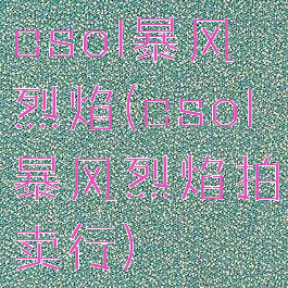 csol暴风烈焰(csol暴风烈焰拍卖行)