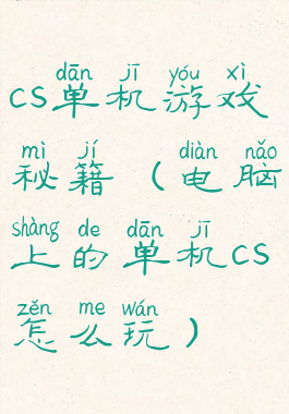 cs单机游戏秘籍(电脑上的单机cs怎么玩)