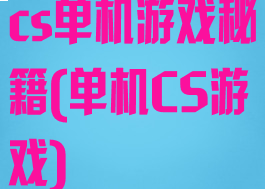 cs单机游戏秘籍(单机CS游戏)