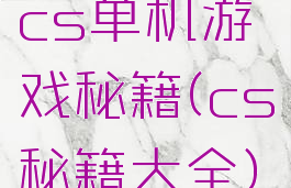 cs单机游戏秘籍(cs秘籍大全)