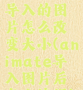 animate导入的图片怎么改变大小(animate导入图片后怎么编辑)
