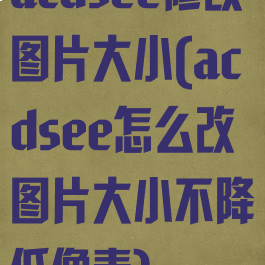 acdsee修改图片大小(acdsee怎么改图片大小不降低像素)