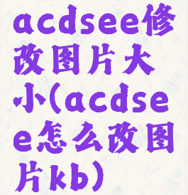 acdsee修改图片大小(acdsee怎么改图片kb)