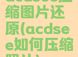 acdsee压缩图片还原(acdsee如何压缩照片)