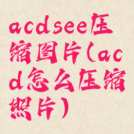 acdsee压缩图片(acd怎么压缩照片)