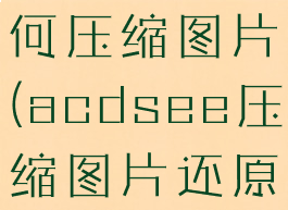 acdsee如何压缩图片(acdsee压缩图片还原)