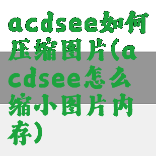 acdsee如何压缩图片(acdsee怎么缩小图片内存)