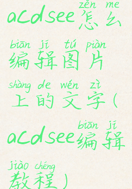 acdsee怎么编辑图片上的文字(acdsee编辑教程)