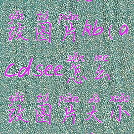 acdsee怎么改图片kb(acdsee怎么改图片大小200k以下)