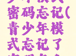 acfun青少年模式密码忘记(青少年模式忘记了密码怎么办)