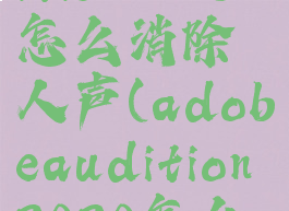 adobeaudition2018怎么消除人声(adobeaudition2020怎么消除人声)