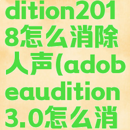 adobeaudition2018怎么消除人声(adobeaudition3.0怎么消除人声)