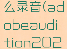 adobeaudition怎么录音(adobeaudition2020怎样内录音)