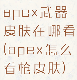 apex武器皮肤在哪看(apex怎么看枪皮肤)
