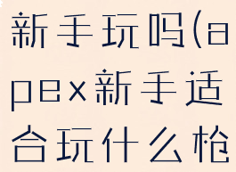 apex适合新手玩吗(apex新手适合玩什么枪)