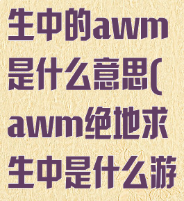 awm绝地求生中的awm是什么意思(awm绝地求生中是什么游戏)