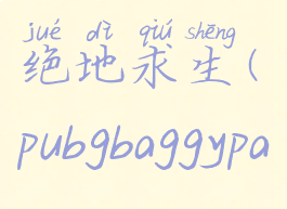 baggypants绝地求生(pubgbaggypants)