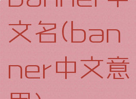 banner中文名(banner中文意思)