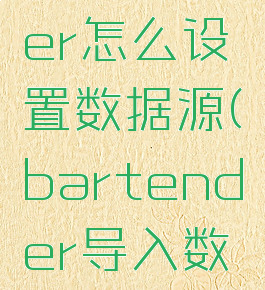 bartender怎么设置数据源(bartender导入数据源设置)