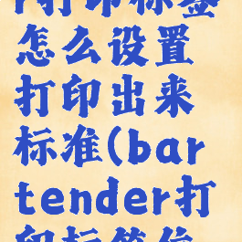bartender打印标签怎么设置打印出来标准(bartender打印标签位置调整)