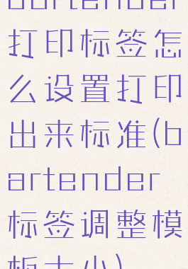 bartender打印标签怎么设置打印出来标准(bartender标签调整模板大小)