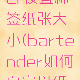 bartender设置标签纸张大小(bartender如何自定义纸张大小)