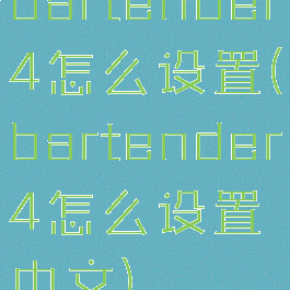 bartender4怎么设置(bartender4怎么设置中文)