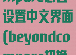beyondcompare怎么设置中文界面(beyondcompare切换中文)