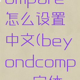 beyondcompare怎么设置中文(beyondcompare字体设置)