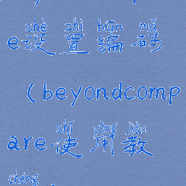 beyondcompare设置编码(beyondcompare使用教程)