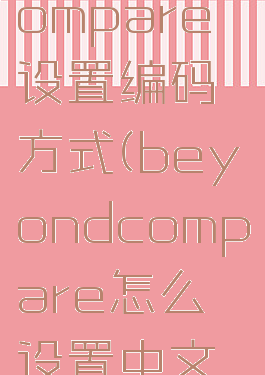 beyondcompare设置编码方式(beyondcompare怎么设置中文界面)