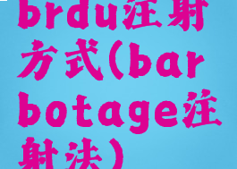 brdu注射方式(barbotage注射法)