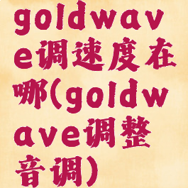 goldwave调速度在哪(goldwave调整音调)